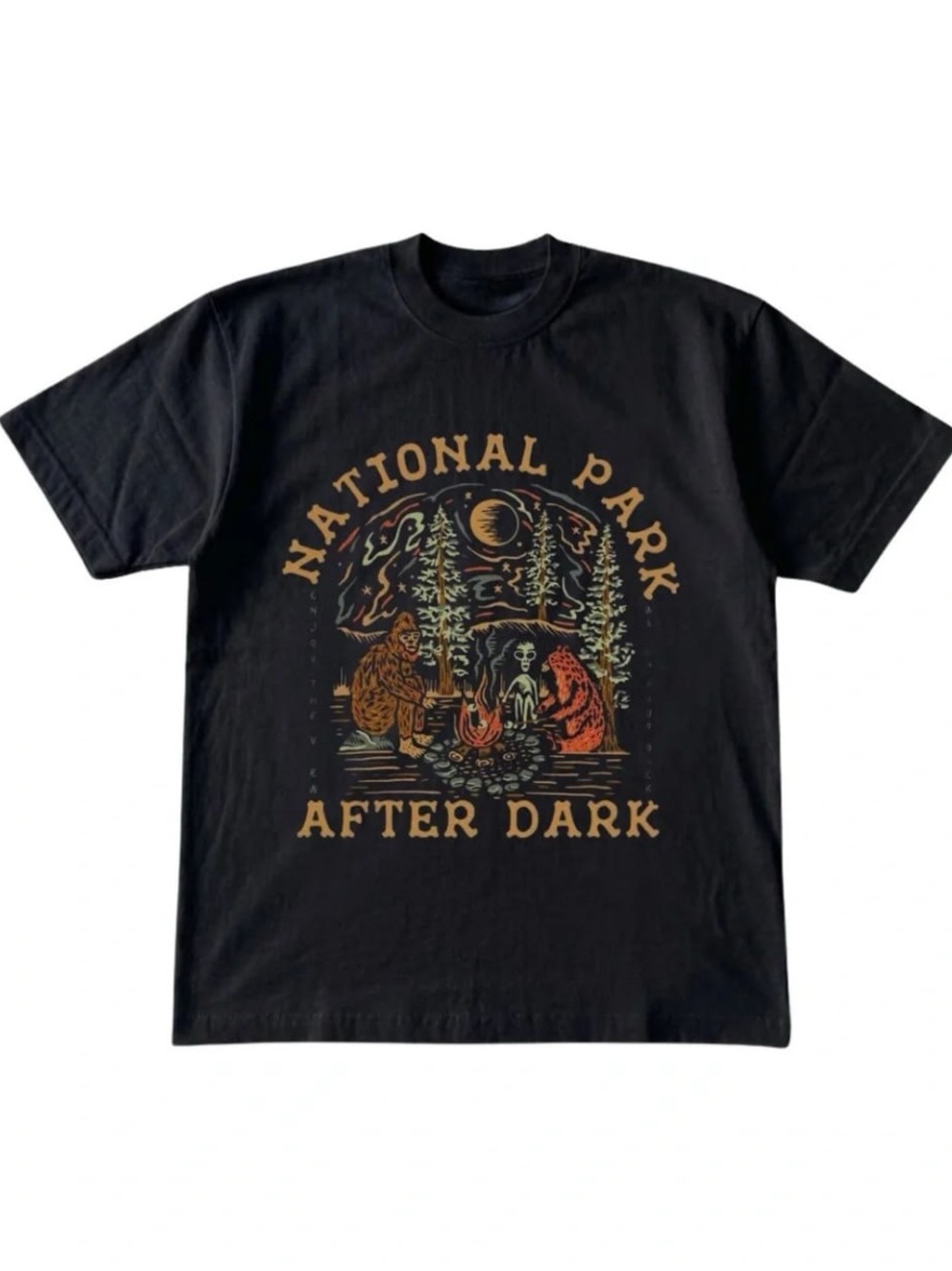 Black National Park After Dark Graphic Tee